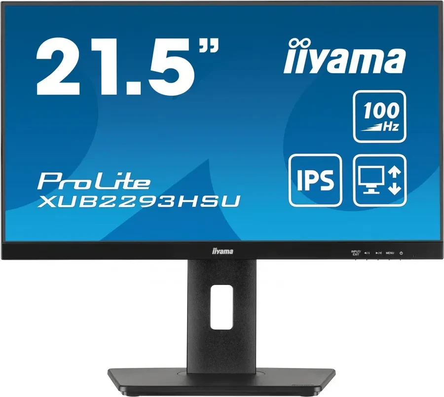 Монитор iiyama ProLite PL2293H, 21.5", IPS, 1920x1080
