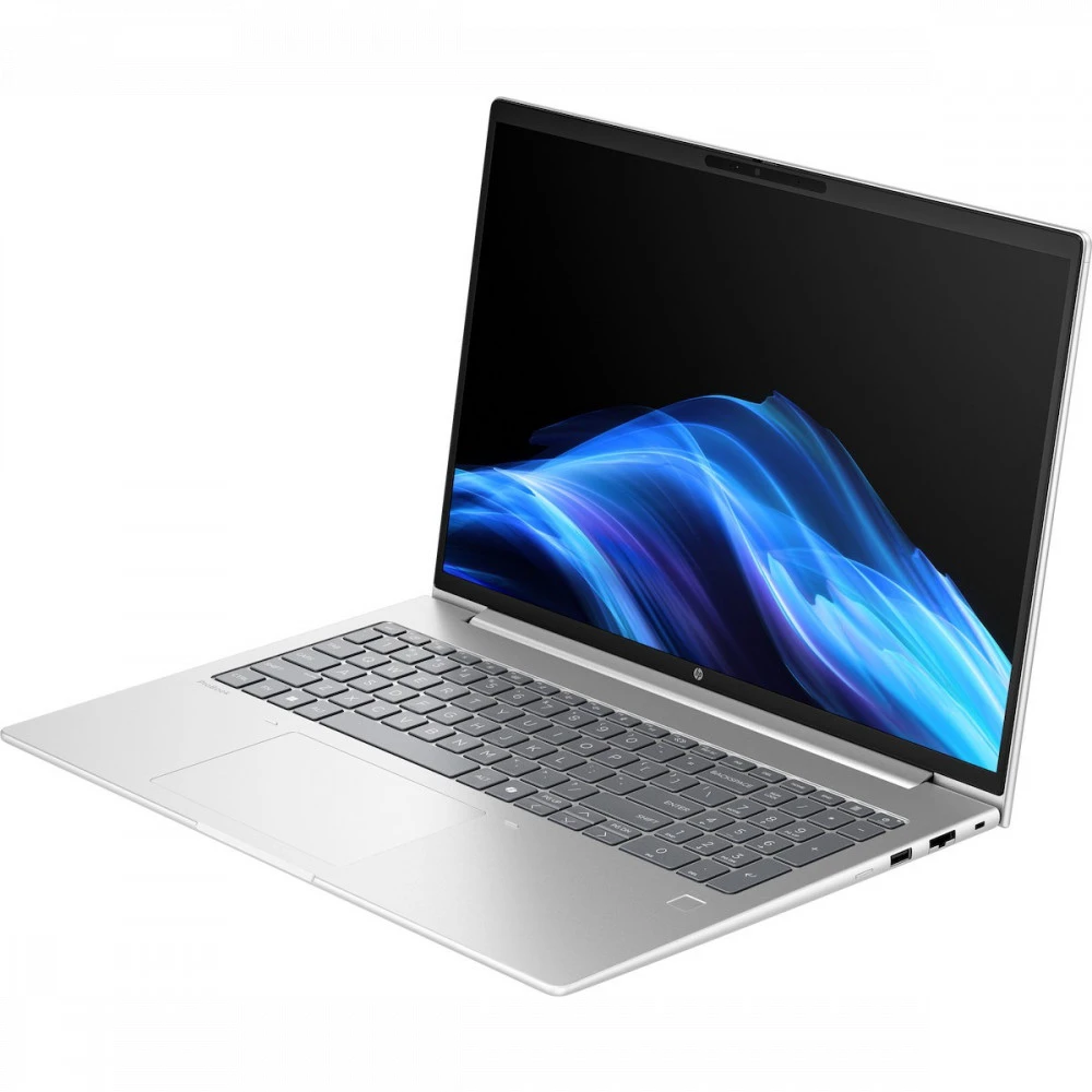 Ноутбук HP ProBook 4 G1a, AMD Ryzen 7 250, 16 ГБ, 1024 ГБ, 16" — 4