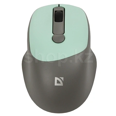 Мышь Defender Feam MM-296, Mint, USB — 2