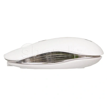 Мышь Defender Calessa MB-252, White, USB — 4