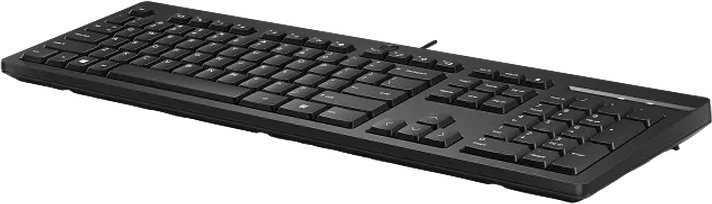 Клавиатура HP 125 G2, USB, проводная