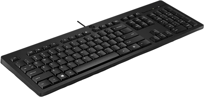 Клавиатура HP 125 G2, USB, проводная — 2