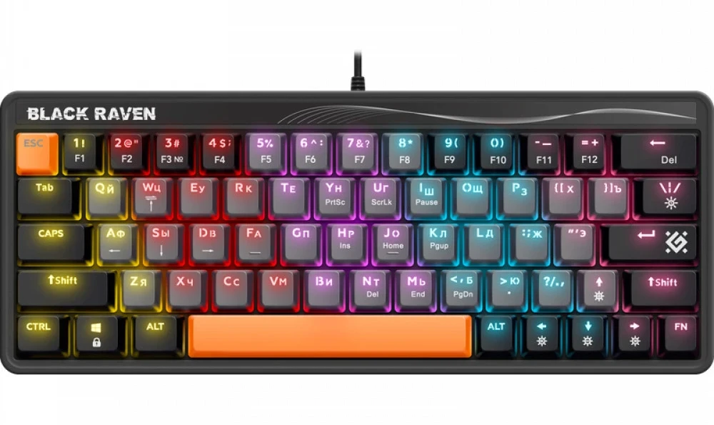 Клавиатура Defender Black Raven GK-417, Silver, USB (45413)