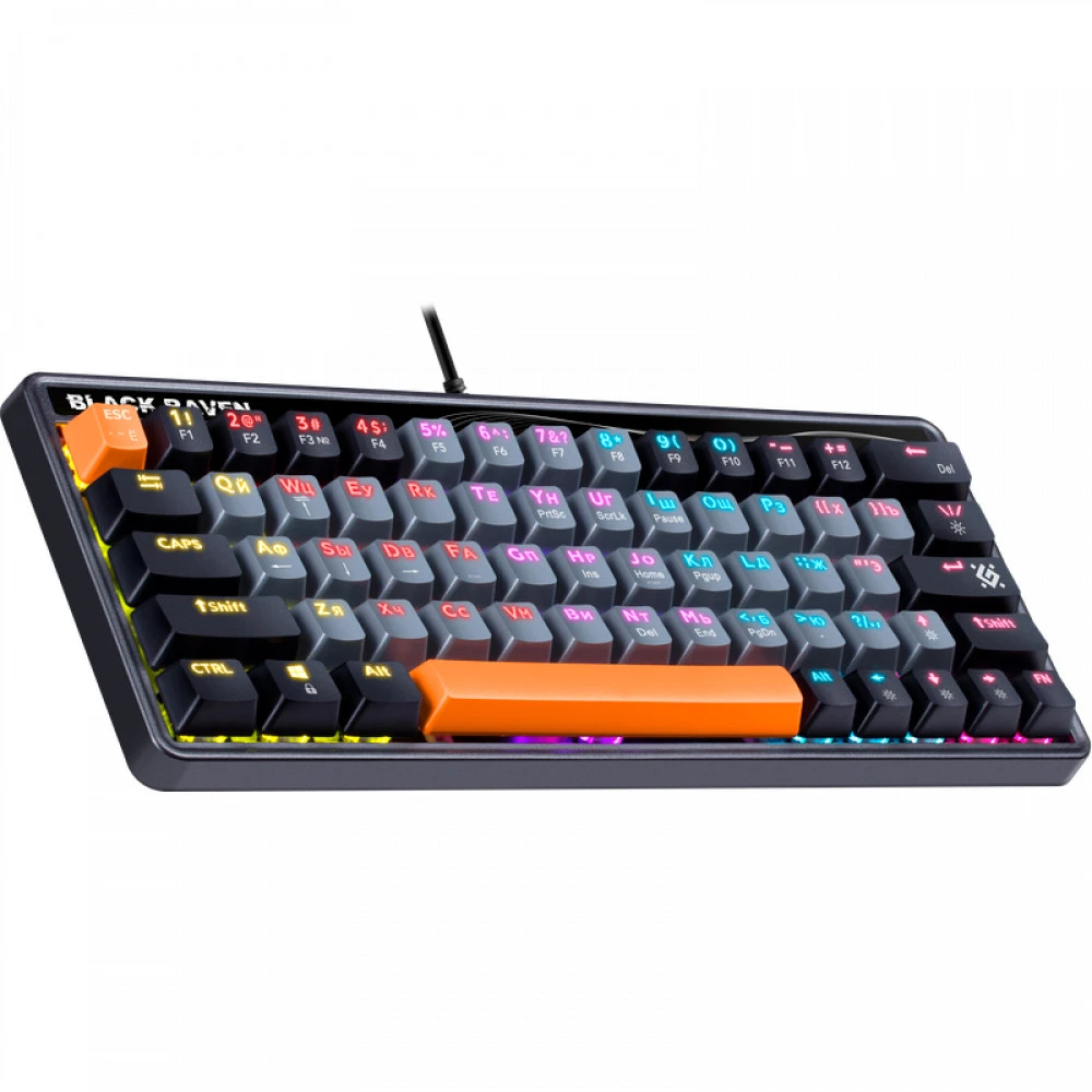 Клавиатура Defender Black Raven GK-417, Silver, USB (45413) — 2