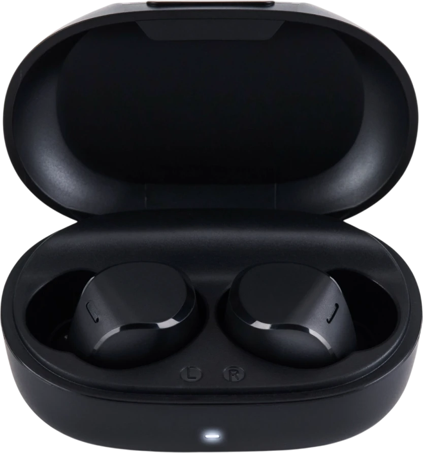 Panasonic RZ-B120WDG-K Беспроводные наушники Panasonic,черный — 4