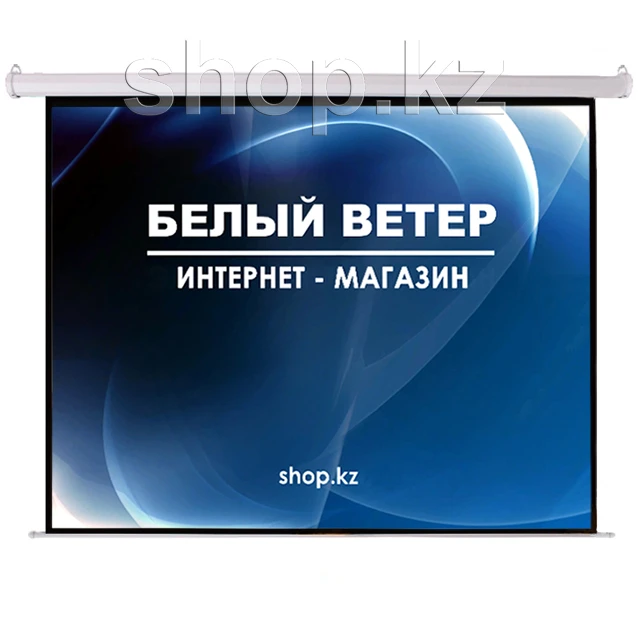 Экран моторизованный Mr.Pixel MSPSAB112V2, 1:1, 203x203 см