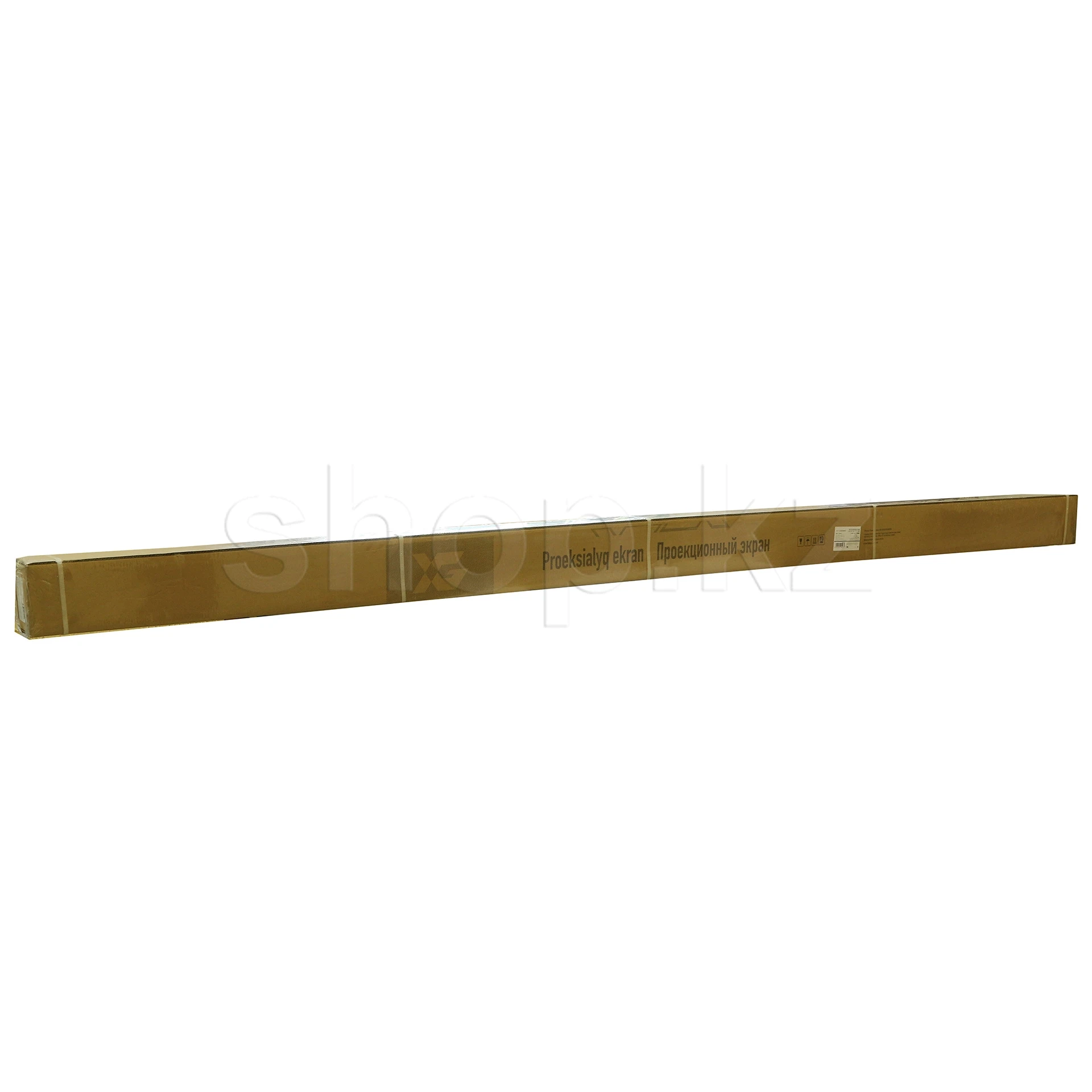 Экран моторизованный XG DLS-ERC300x180W, 292х172 см, Matt White — 2
