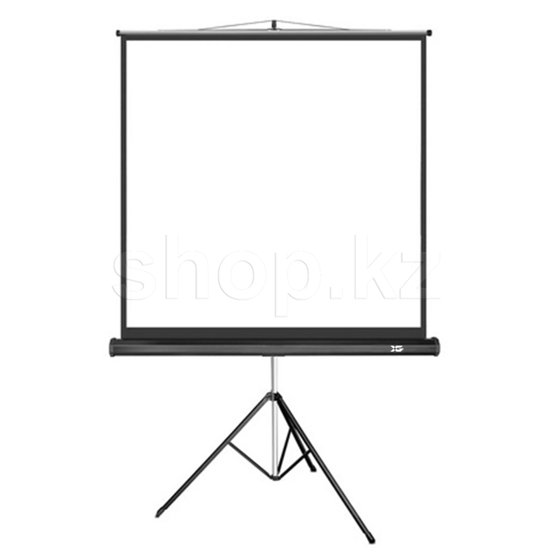 Экран на треноге XG DLS-T153x, 149х149 см, Matt White