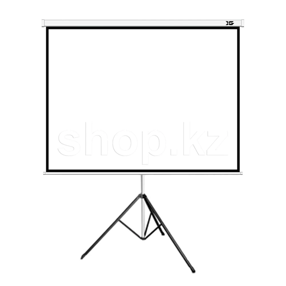 Экран на треноге XG DLS-T244x183W, 232x174 см, Matt White