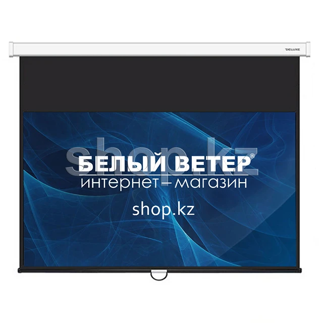 Экран настенный Deluxe DLS-M265х149W, 16:9, 257x141 см, белый матовый
