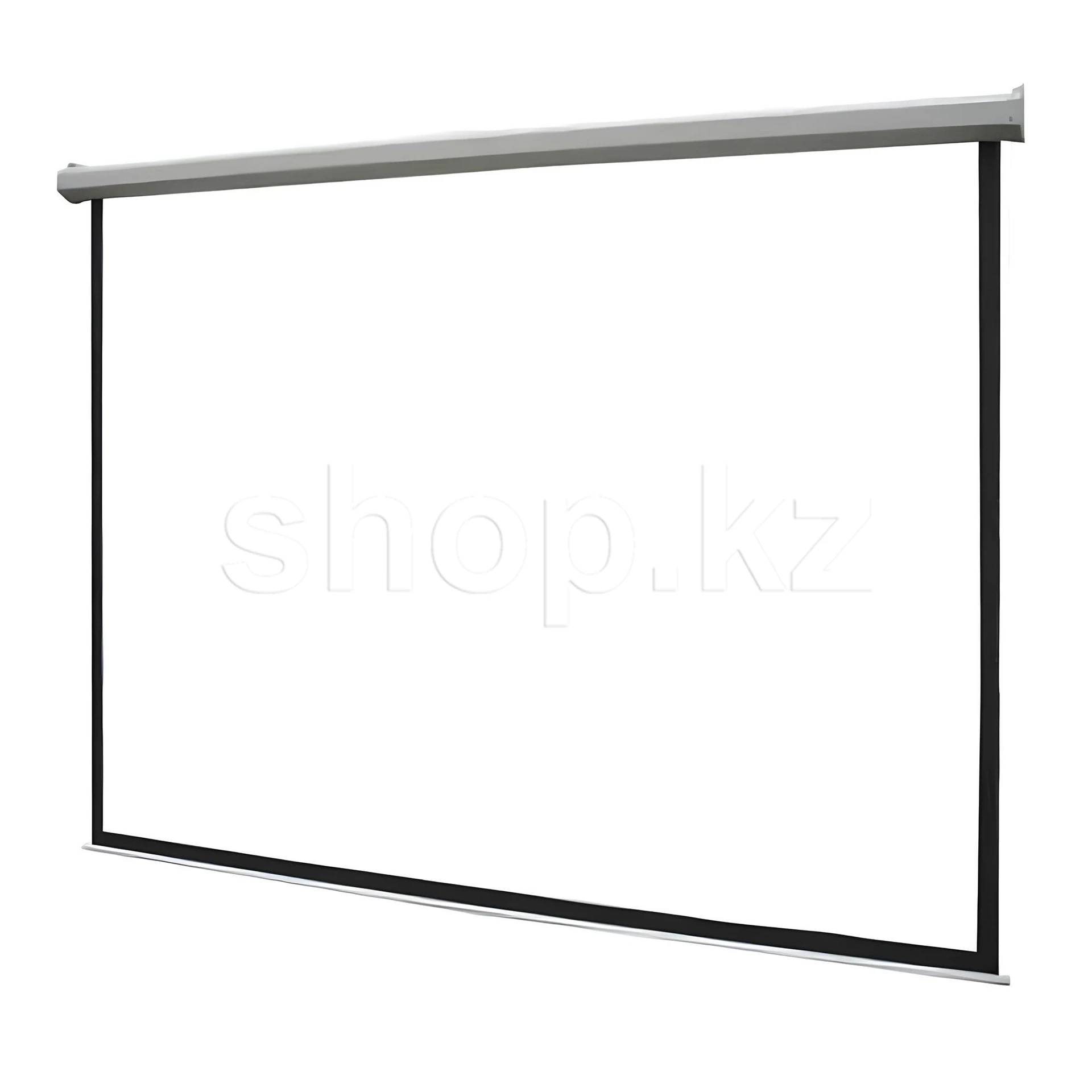 Экран настенный Mr.Pixel ECO MAGNASBB112V2, 203 x 203 см