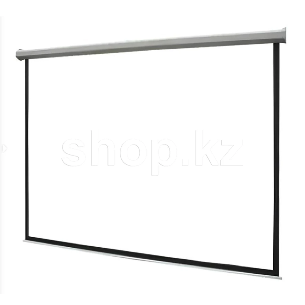 Экран настенный Mr.Pixel ECO MAGNASBB135V2, 244 x 244 см