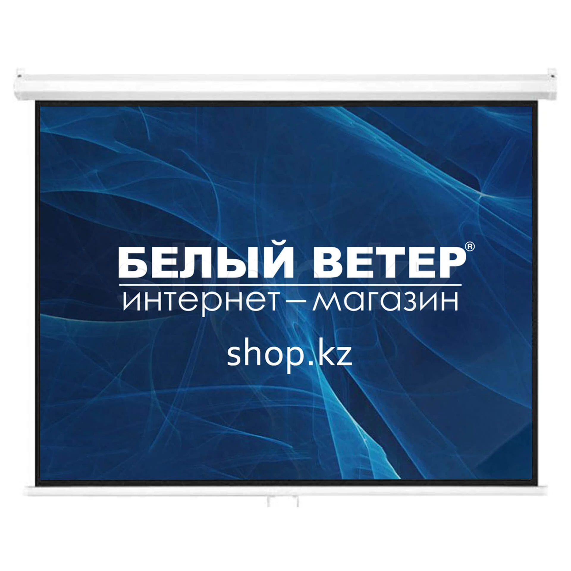Экран настенный Mr.Pixel MSPSBB167V2, 1:1, 305 x 305 см
