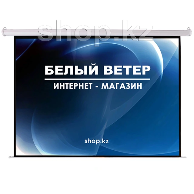Экран настенный Mr.Pixel MSPSBC120V2, 4:3, 244 x 183 см