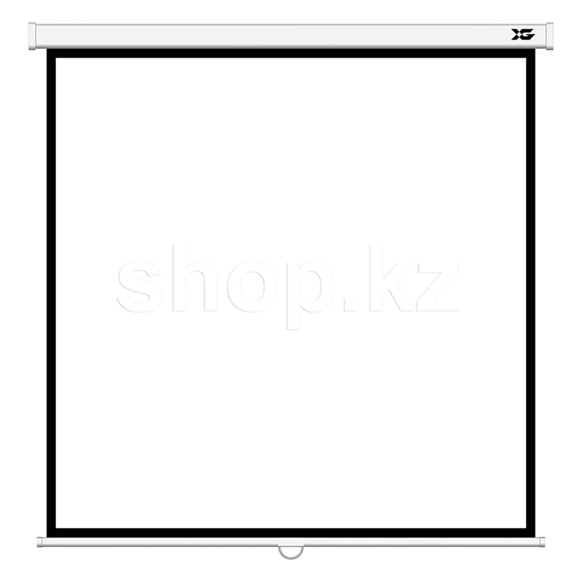 Экран настенный XG DLS-M213xW, 205х205 см, Matt White