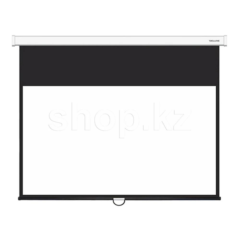 Экран настенный XG DLS-M221x121W, 16:9, 217x122 см, Matt White