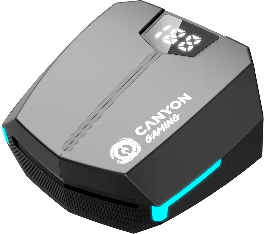CANYON Headset Doublebee GTWS-2 Gaming, чёрный