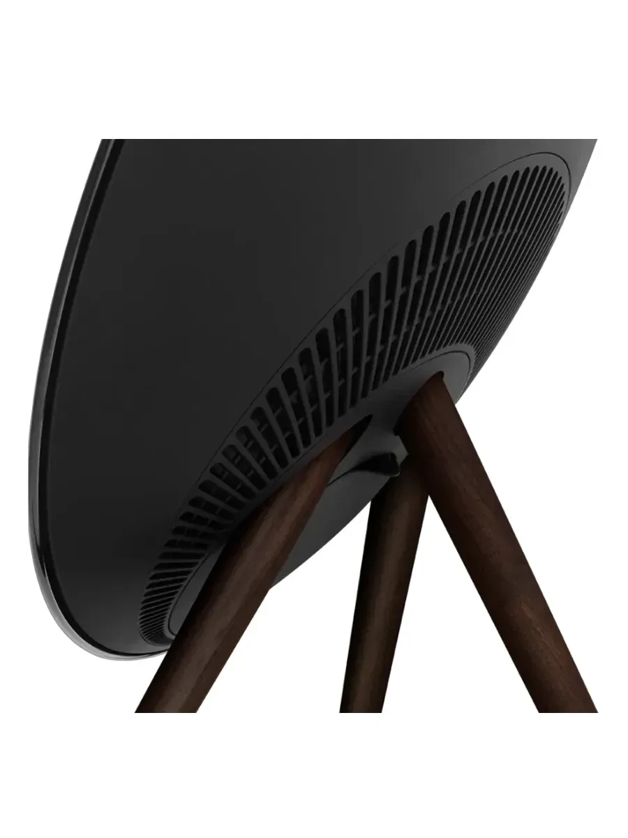 Портативная колонка Bang & Olufsen Beosound A9 5th Gen, чёрный — 3