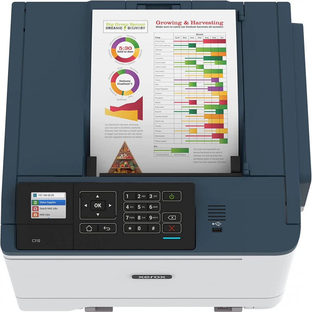 Принтер Xerox C310DNI — 3